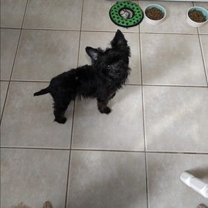 Meet your Posher, Alona